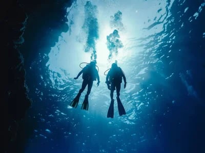 Dive Center Mexiko: Professionelle Betreuung unter Wasser
